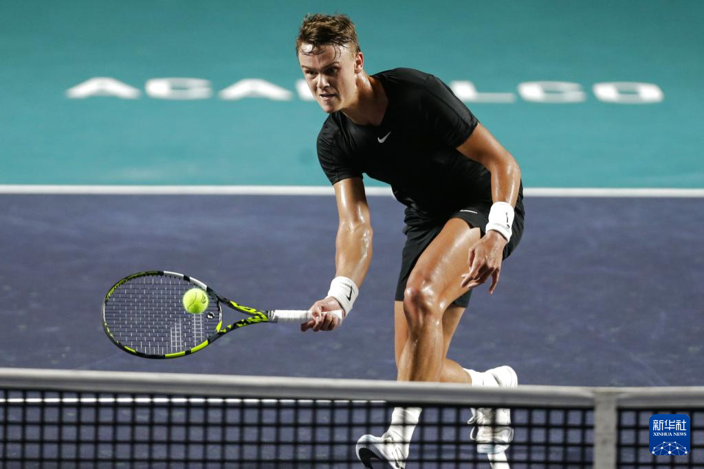 黑自由转会 黑自由转会