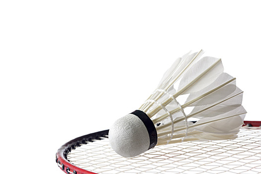 体育与法律 体育与法律