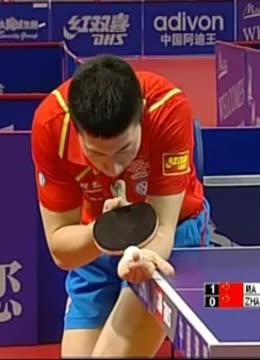 态的回暖 态的回暖